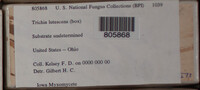 Image Associated With the Occurence